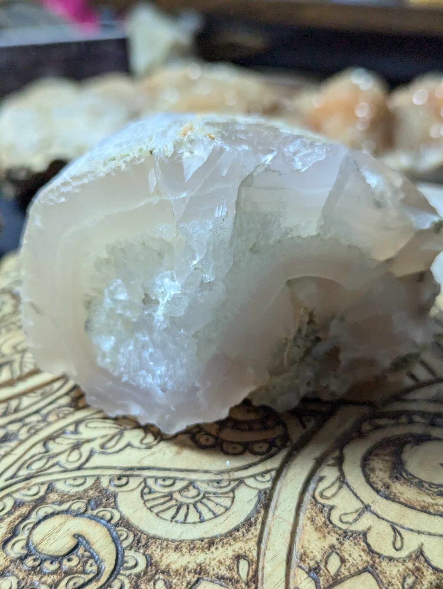 Pink Petrified Wood Limb cast with quartz drusy 2